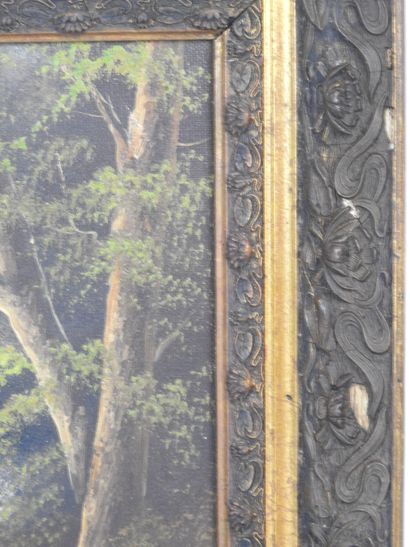 MANIERY (XXth). Wooded landscapes. Two oils...