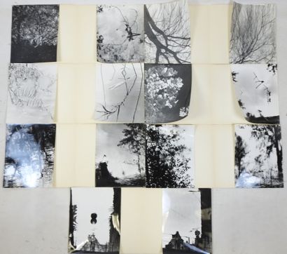 Quatorze photographies représentant des paysages...