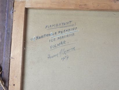 France ALLENUME (XXe) : Flamboyant - Ile...