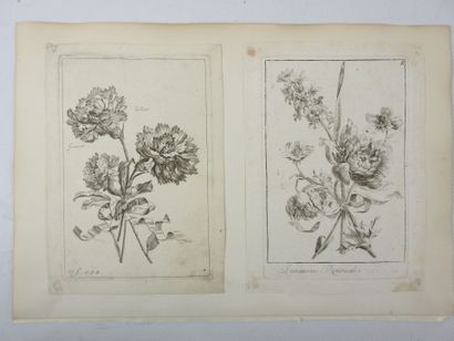 Philippe Galle (1537-1612). 12 estampes de...