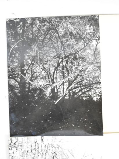 Quatorze photographies représentant des paysages...