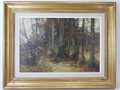 Alfred BASTIEN (1873-1955): Chemin en forêt....