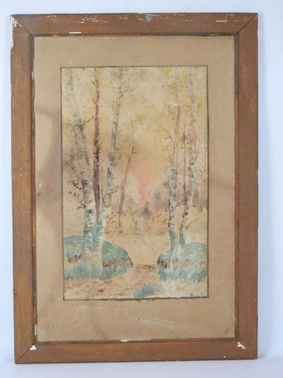 S. TOBIEMIO (20th). Nature landscape with...