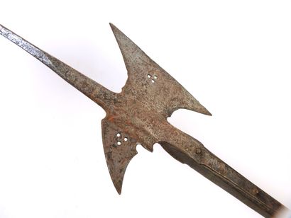 MISCELLANEOUS. Halberd with quadrangular...