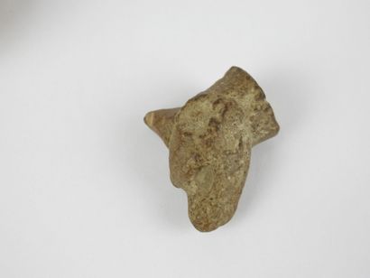 MEXICO : Head of a Zayarit homma. Stone sculpture....