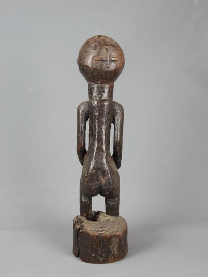 HEMBA, Democratic Republic of Congo.

Hardwood,...