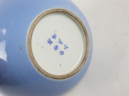 CHINE : Vase à long col en porcelaine lavande...