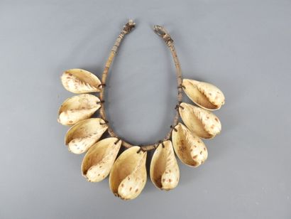 PAPUA: shell necklace H. 16 - L. 27.5cm