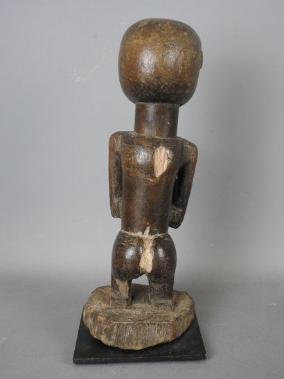 HOLO, République Démocratique du Congo.
Bois...