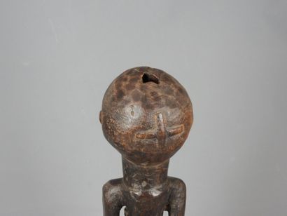 HEMBA, Democratic Republic of Congo.

Hardwood,...