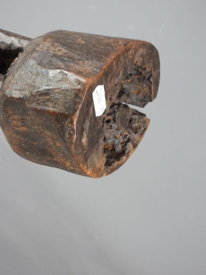 HEMBA, Democratic Republic of Congo.

Hardwood,...