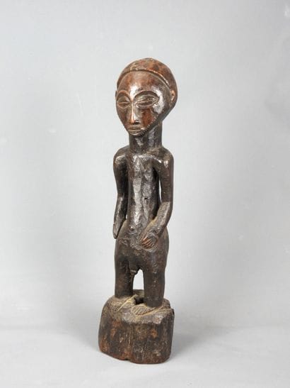 HEMBA, Democratic Republic of Congo.

Hardwood,...