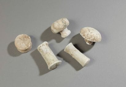 SAO, Midigué II, Chari-Baguirmi region, Chad.
Rare...