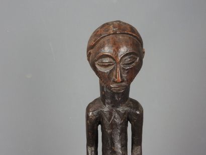 HEMBA, Democratic Republic of Congo.

Hardwood,...