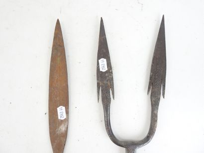 AFRIQUE : Pointe de lance et double pointes...