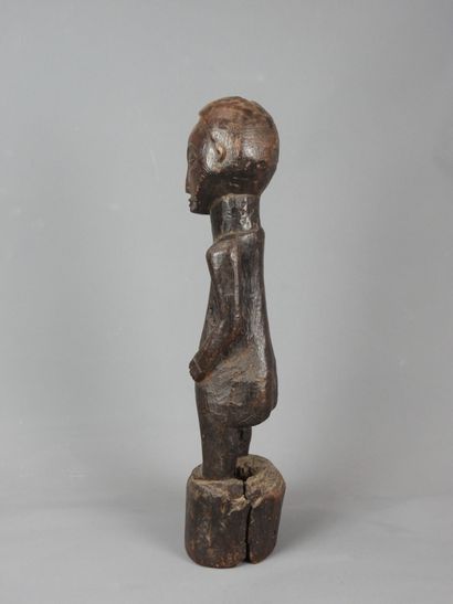 HEMBA, Democratic Republic of Congo.

Hardwood,...