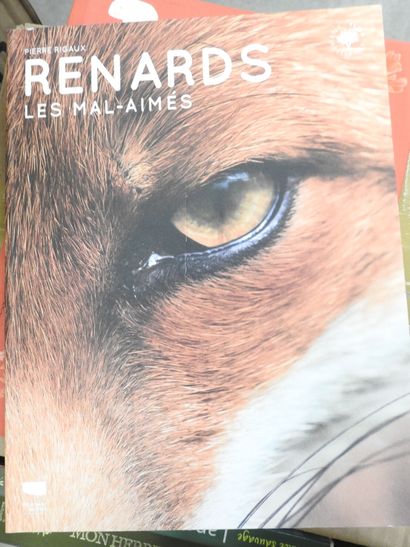 [NATURE]. 15 volumes sur les animaux et herbiers...