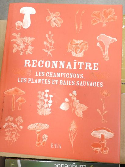 [NATURE]. 15 volumes sur les animaux et herbiers...