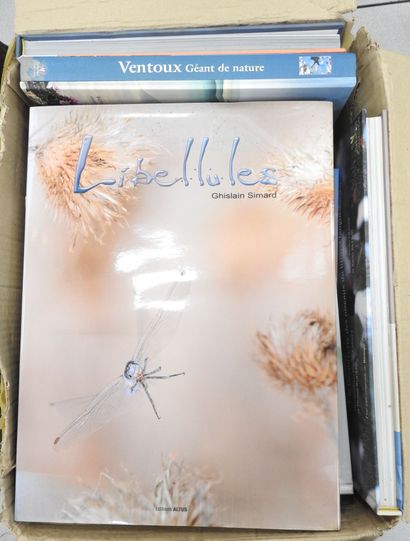 [NATURE]. 14 volumes divers sur les insectes,...