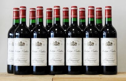 12 bottles
Domaine Chamvermeil - Montagne...