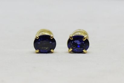Paire de boutons d'oreilles en or 18K ornée...