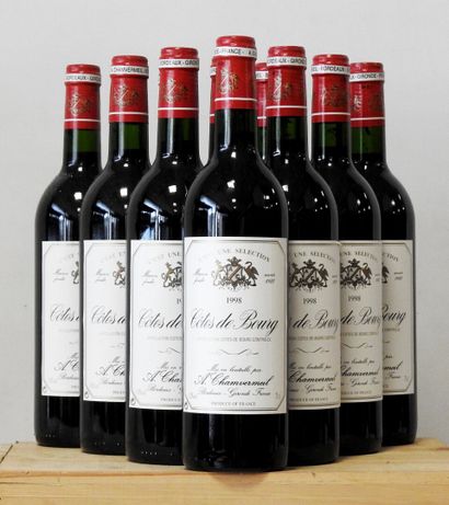 10 bottles
Domaine Chamvermeil - Côtes de...