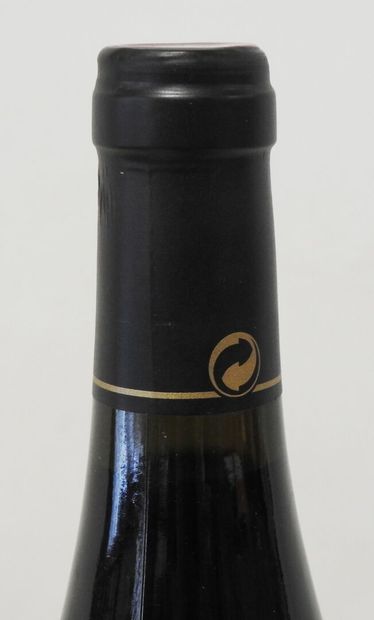 1 magnum
Domaine Patrick Jasmin - Côte Rôtie...