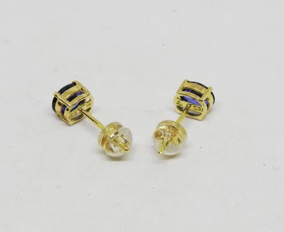 Paire de boutons d'oreilles en or 18K ornée...
