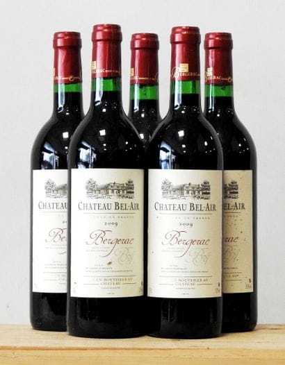 5 bottles
Château Bel-Air - Bergerac - Grand...