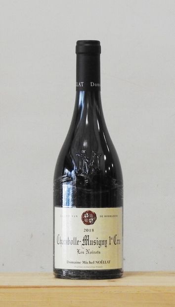 1 bottle
Domaine Michel Noellat - Chambolle-Musigny...