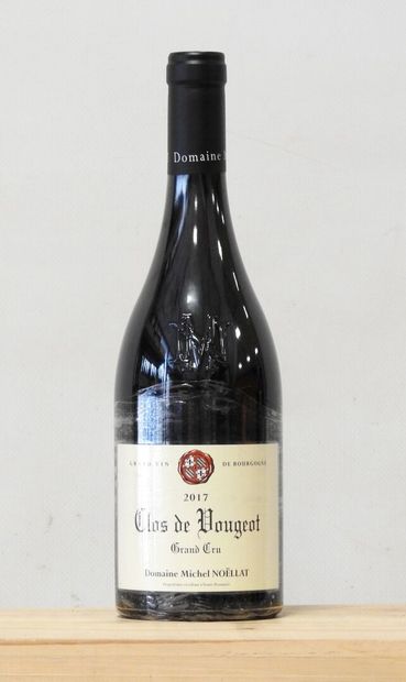 1 bottle
Domaine Michel Noellat - Clos de...