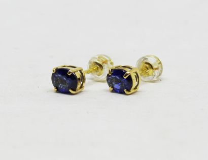 Paire de boutons d'oreilles en or 18K ornée...