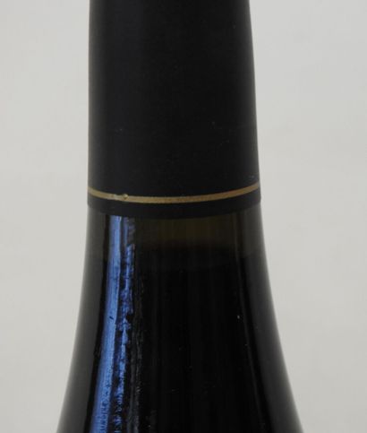 1 magnum
Domaine Patrick Jasmin - Côte Rôtie...