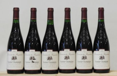 6 bouteilles
Domaine des Raynières - Saumur-Champigny...