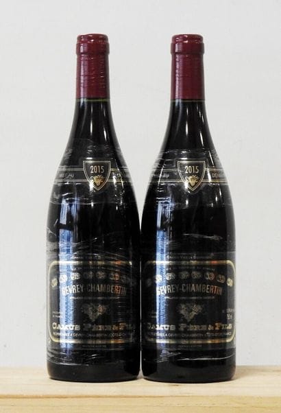 2 bottles
Domaine Camus Père & fils - Gevrey-Chambertin...