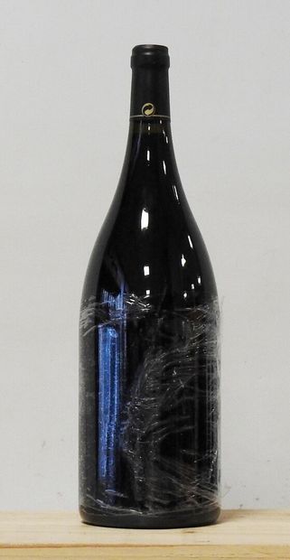 1 magnum
Domaine Patrick Jasmin - Côte Rôtie...