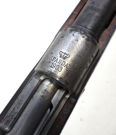 ARMES à FEU. ALLEMAGNE. Fusil Mauser modèle...