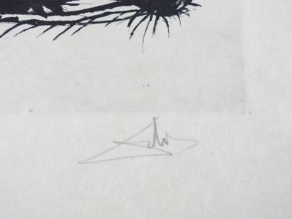 Salvador DALI (Spanish, 1904-1989)
Erotic...