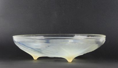 René LALIQUE (1860-1945)
Volubilis model...