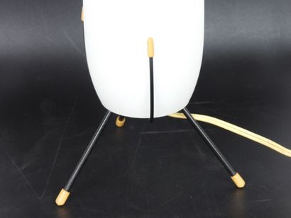 Louis KALFF (1887-1976): Lamp in natural...
