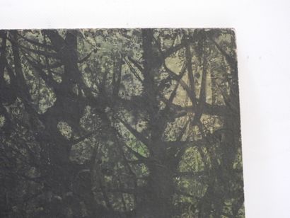 René FUMERON (1921-2004). Landscape with...