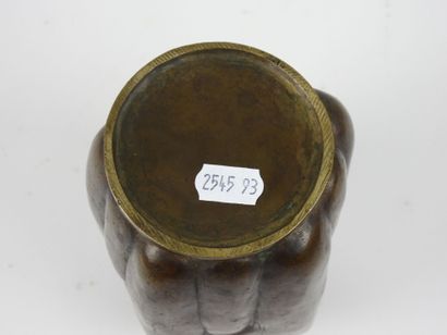 Brown patina bronze VASE with naturalistic...