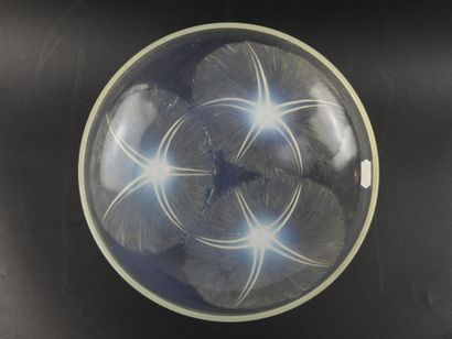 René LALIQUE (1860-1945)
Volubilis model...