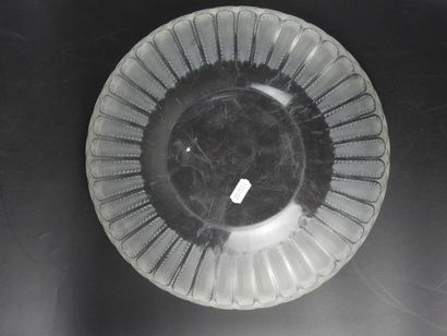 René LALIQUE (1860-1945). Jaffa n°1