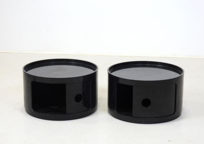 Anna CASTELLI FERRIERI (1918-2006): Two-module...