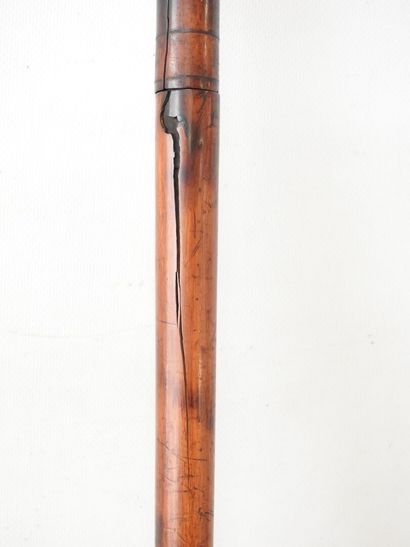 Canne fusil en placage d'acajou, gachette...