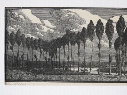Gwendolen RAVERAT 1885-1957
Peupliers en...