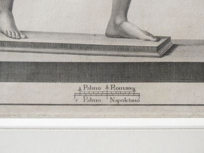 Nicola FIORILLO d'après
Statue romaine antique...