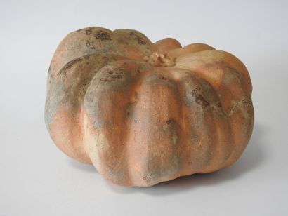 J. HAUTIN - XXeme
Citrouille trompe l'œil...