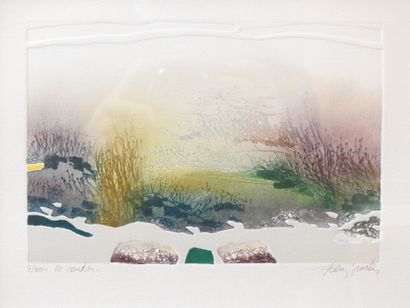 Francis MÉAN (né en 1952) - Belgique
Le sentier
Aquatinte...